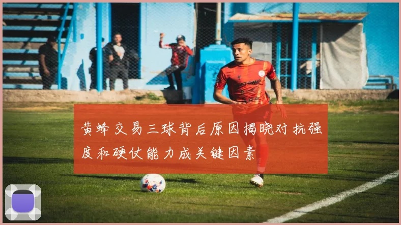 黄蜂交易三球背后原因揭晓对抗强度和硬仗能力成关键因素